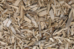 biomass boilers Pisgah